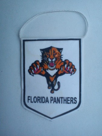 FLORIDA PANTHERS -9-